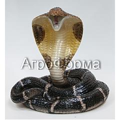 Змея-кобра	34х24х33см АФ0055